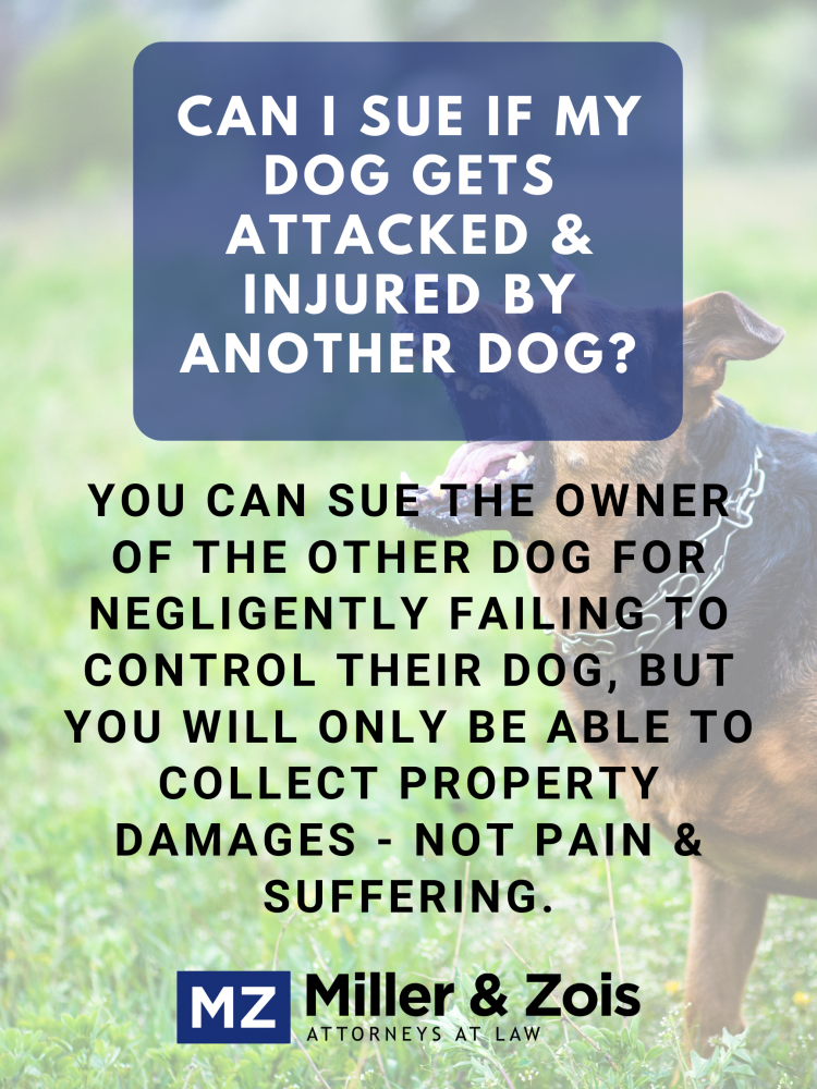 Can I Sue If My Dog Gets Attacked? — Maryland Lawyer Blog